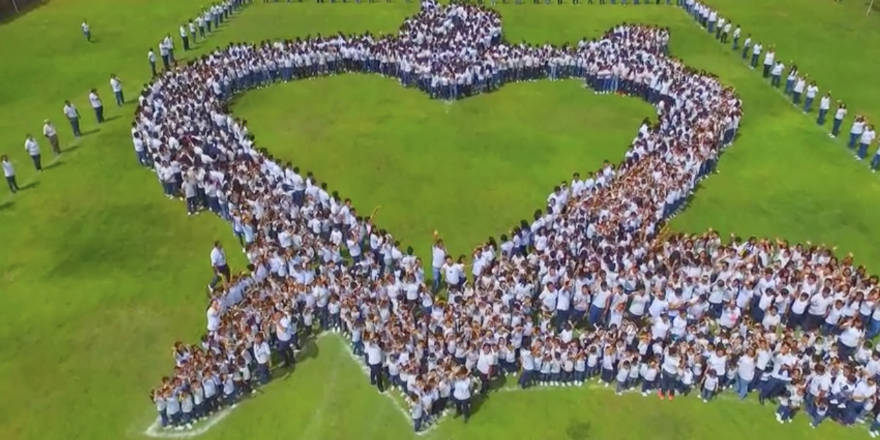 La unión hace la fuerza