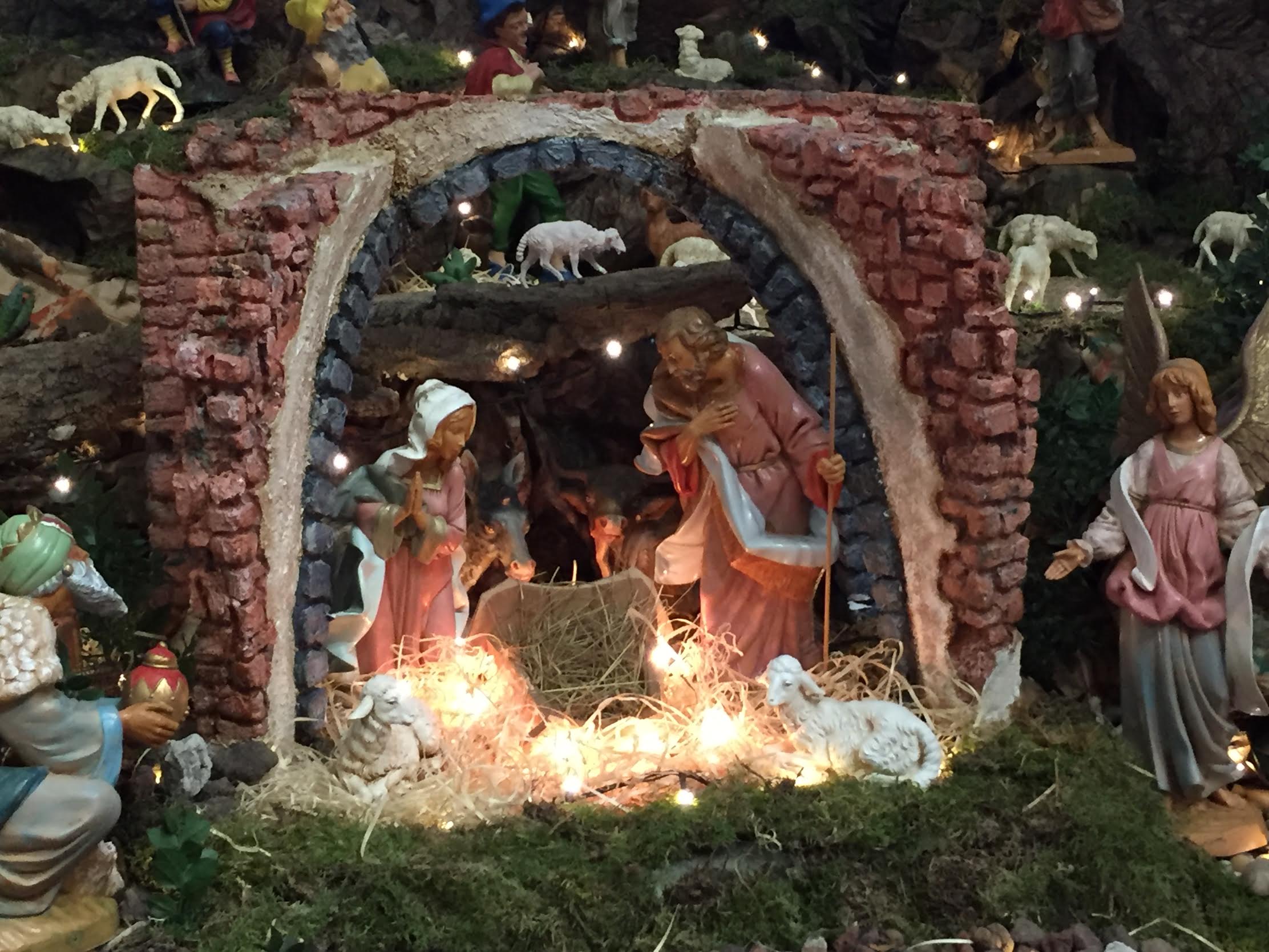 whatsapp-image-2024-01-17-at-18.42.25-1