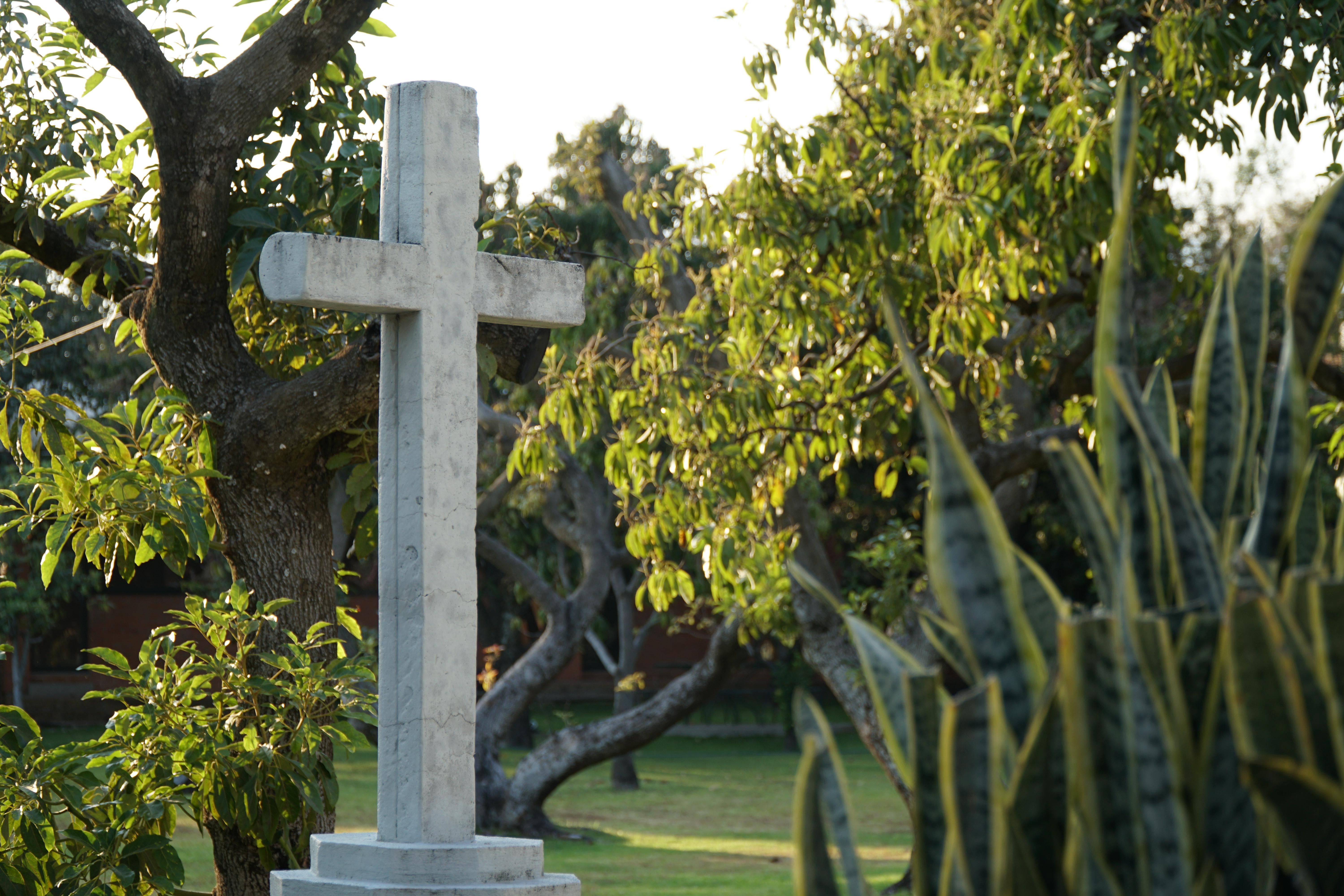 whatsapp-image-2024-01-17-at-18.42.25-1