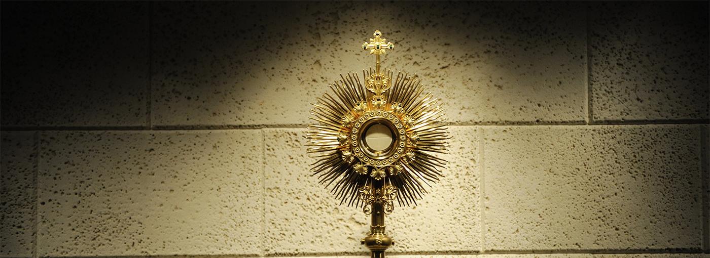 whatsapp-image-2024-01-17-at-18.42.25-1