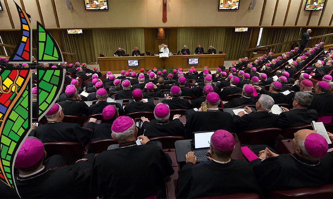 El Sínodo de la Amazonia, en primera persona