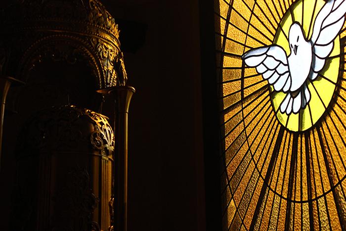 whatsapp-image-2024-01-17-at-18.42.25-1