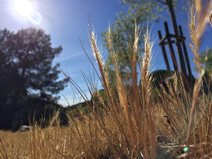 whatsapp-image-2024-01-17-at-18.42.25-1