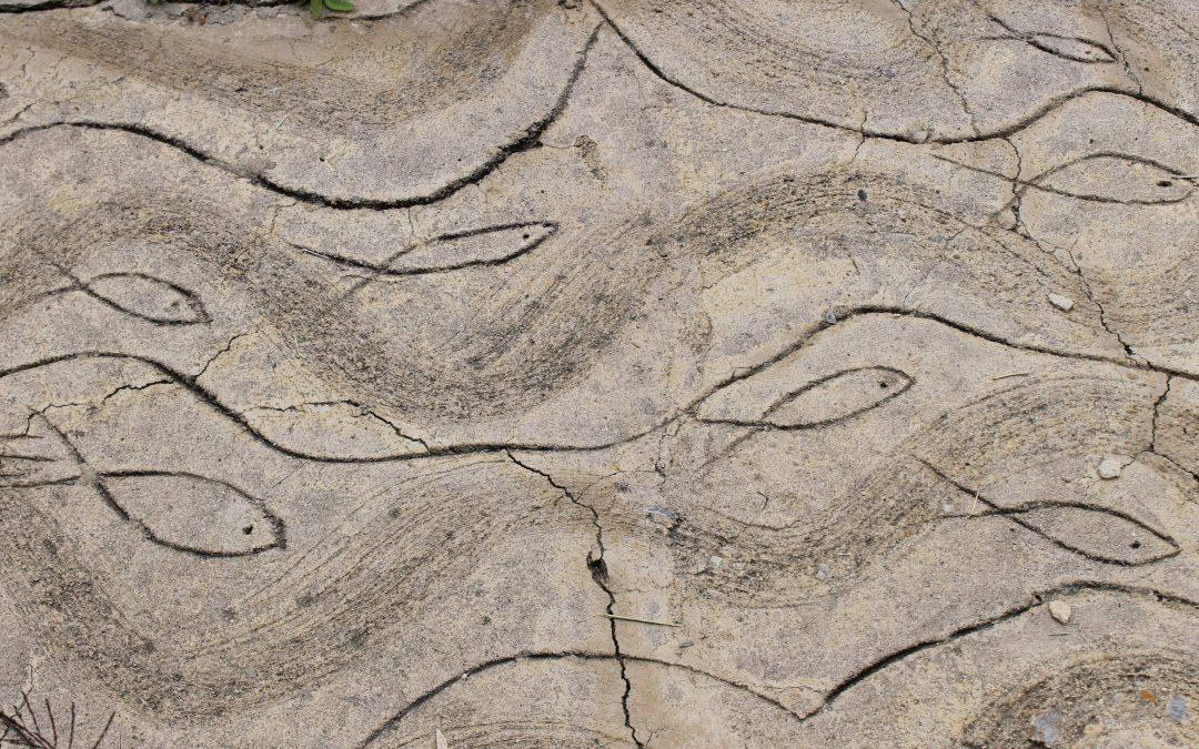 Recursos para la Semana de oración por la unidad de los cristianos 2023