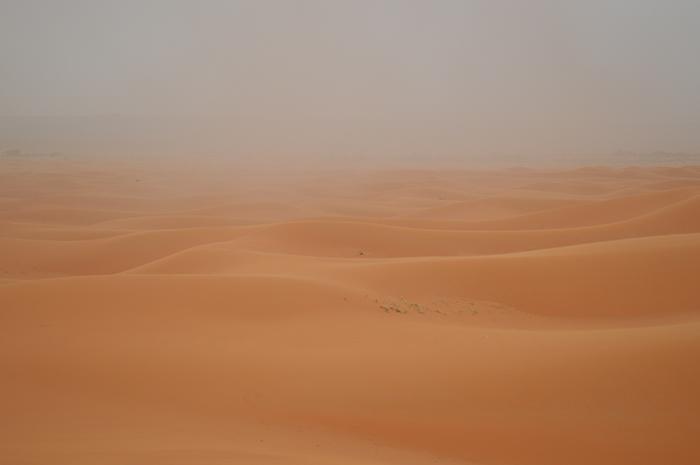 Conviértete  y cree en el Evangelio
