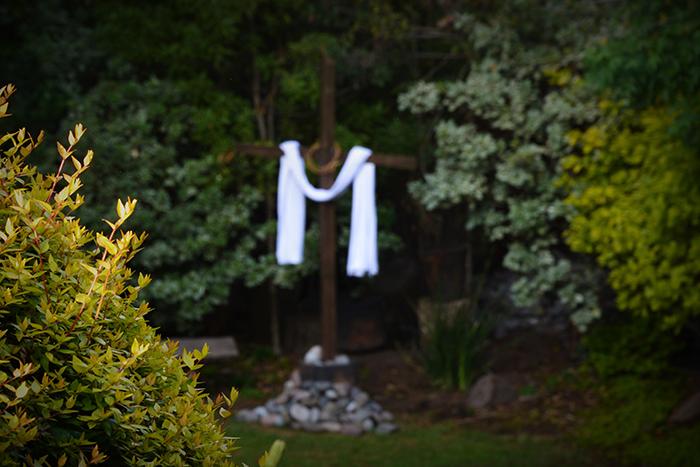 Testigos de lo que hemos visto y oído