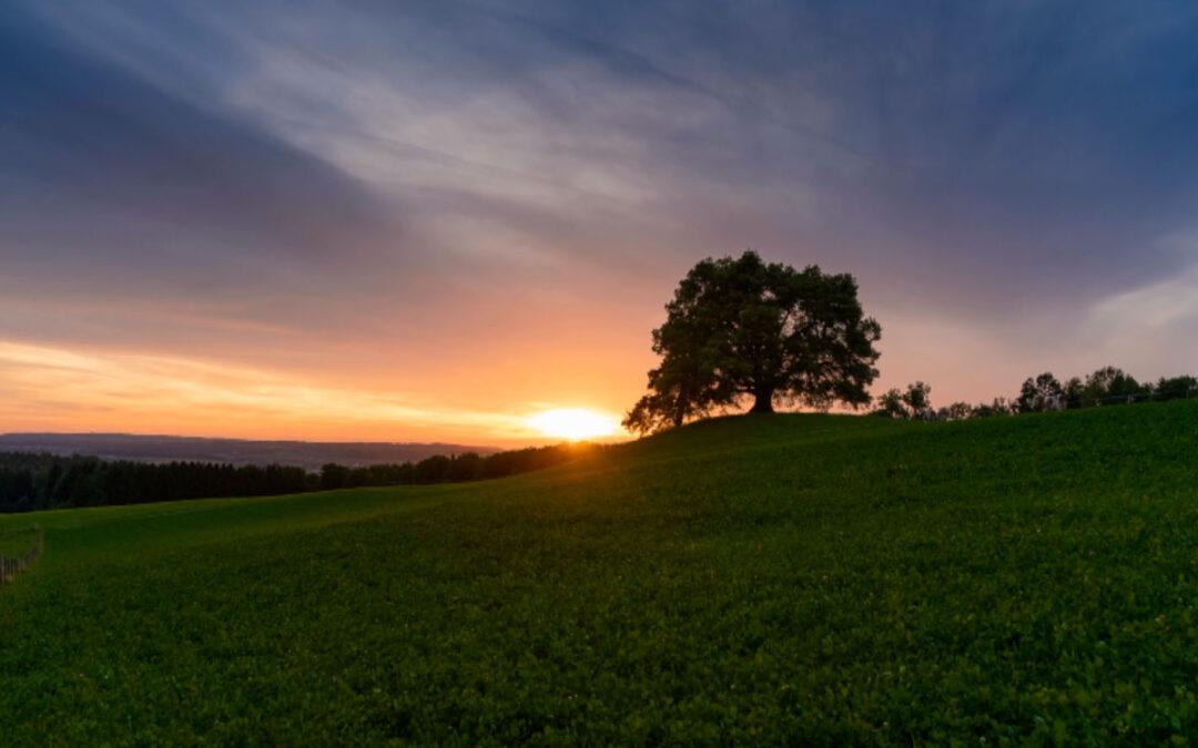 El asombro ante la vida