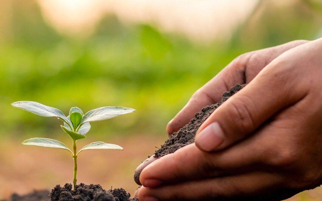 La vida religiosa, centinelas de esperanza