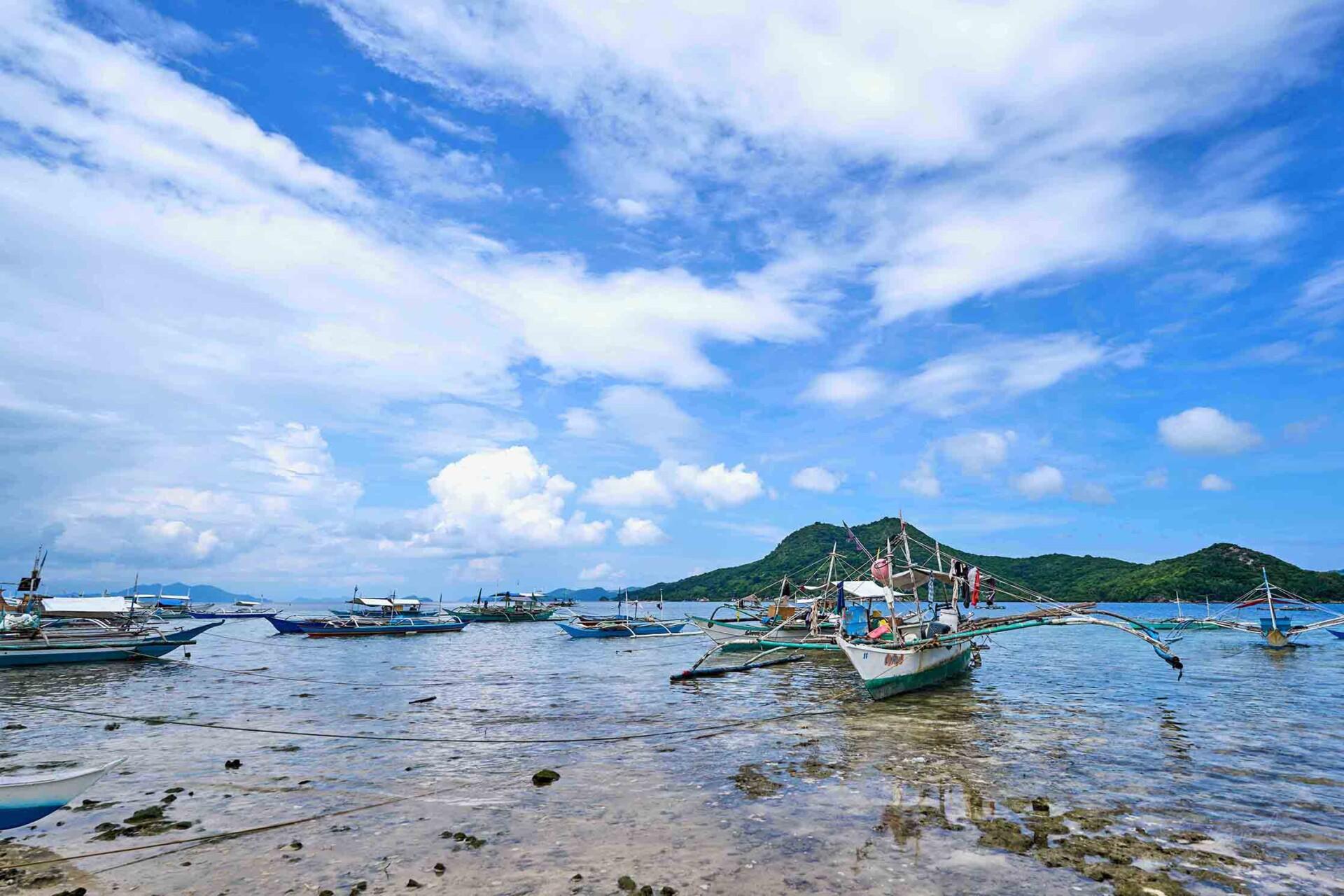 whatsapp-image-2024-01-17-at-18.42.25-1