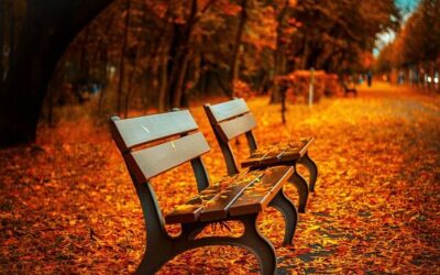 Prayer in autumn: a journey into the inner soul