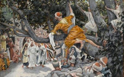 The Seventh Brother: Recognizing Christ in the Poor