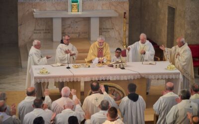 Luis Marín: sabiduría, cruz y esperanza en Cristo vivo, Santo Tomás de Villanueva